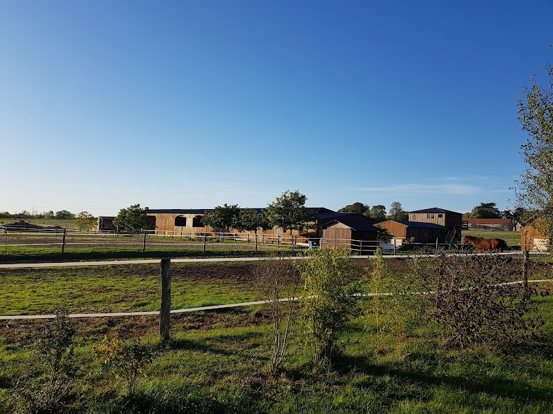 Les Ecuries de Montifray - Centre équestre Indre et Loire (37) - Cours d'équitation Loches - photo 1
