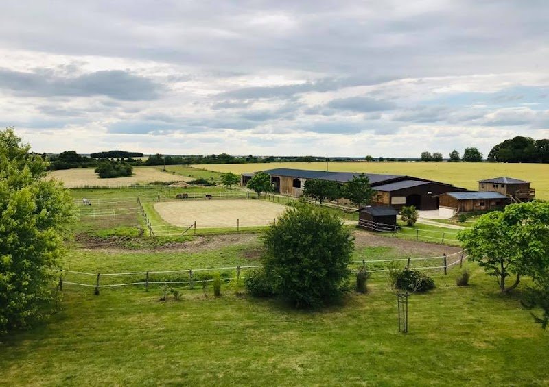 Les Ecuries de Montifray - Centre équestre Indre et Loire (37) - Cours d'équitation Loches - photo 2
