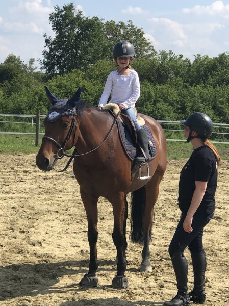 Les Ecuries de Montifray - Centre équestre Indre et Loire (37) - Cours d'équitation Loches - photo 3