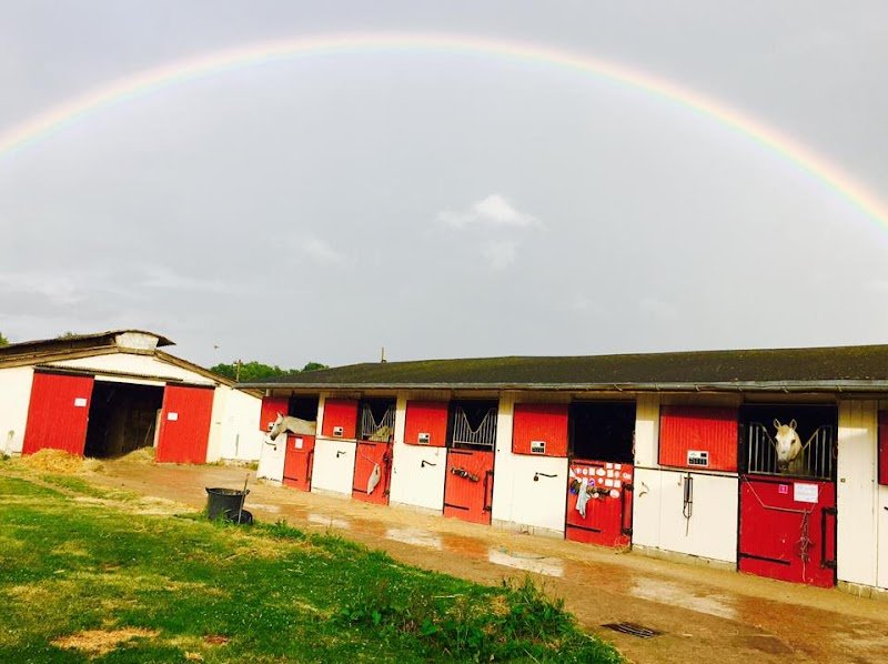 Les Ecuries de La Perchais - photo 2