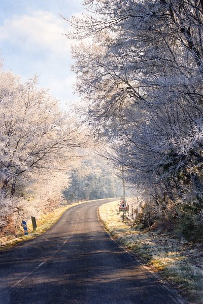 Ecuries du Sage - photo 3