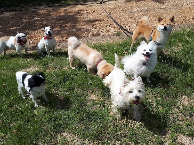 Les Chevaux des Preaux - photo 3