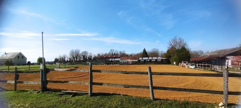 Ecurie des groux - photo 2