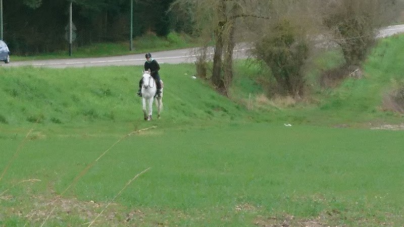 Domaine Équestre des Pins - photo 2