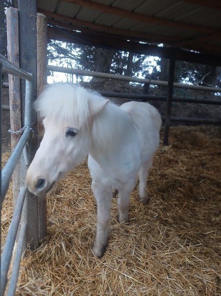 Domaine Équestre des Pins - photo 3