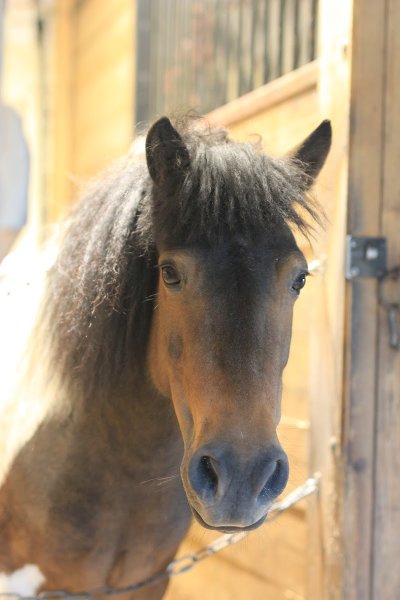 Ecurie B & G - photo 3