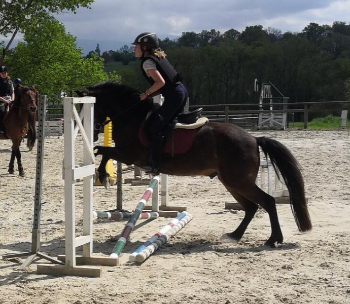 Centre équestre le Clos de Césame - photo 2