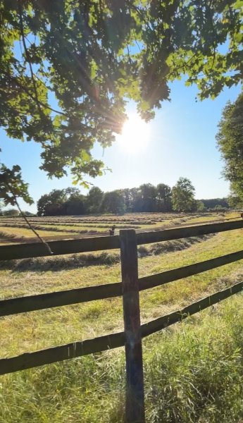 Haras de Bosci - photo 3