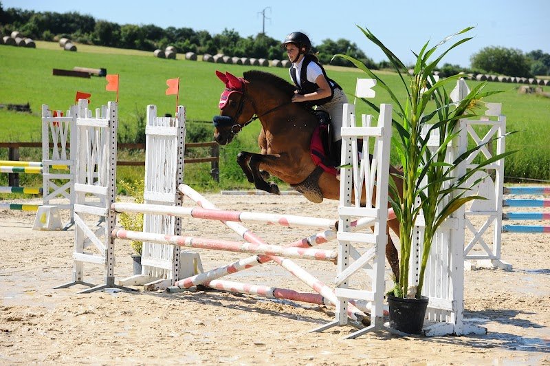 Nouvelles Ecuries des Carnaux - photo 3