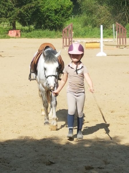 Poney club du fourneau Ecuries PELLETIER - photo 3