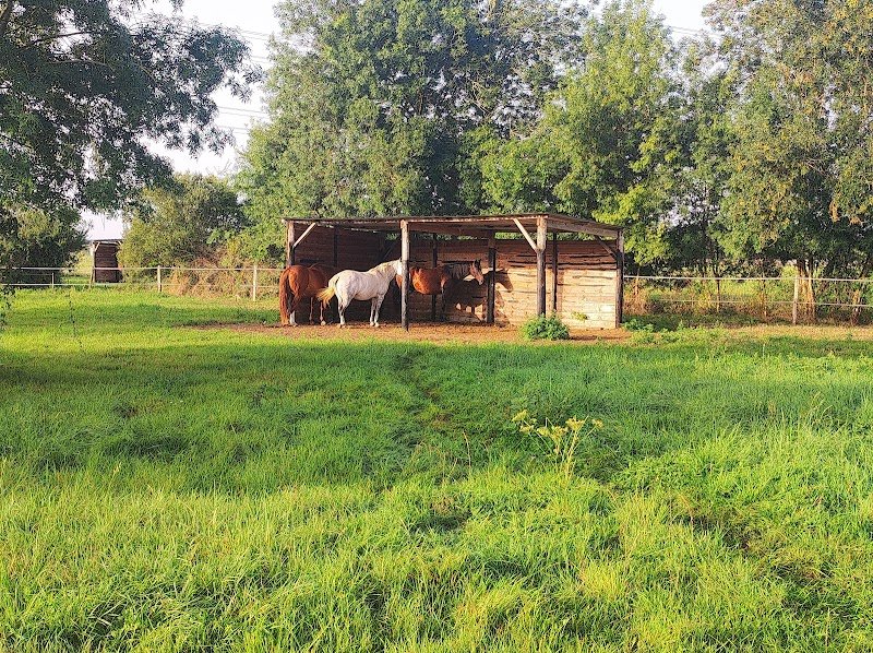 Le Jardin Equestre - photo 1