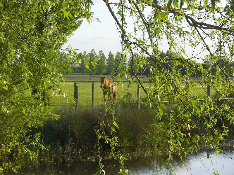 Le Jardin Equestre - photo 3