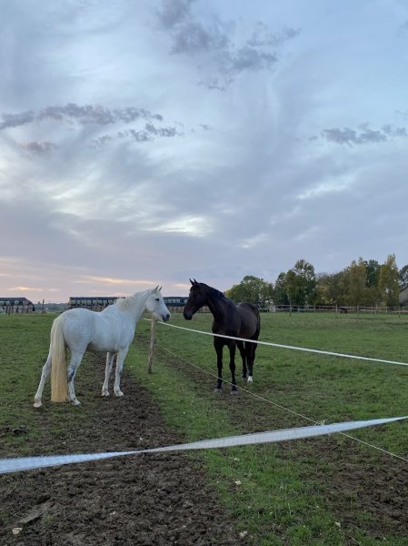 Ecuries de La Choisille - photo 1