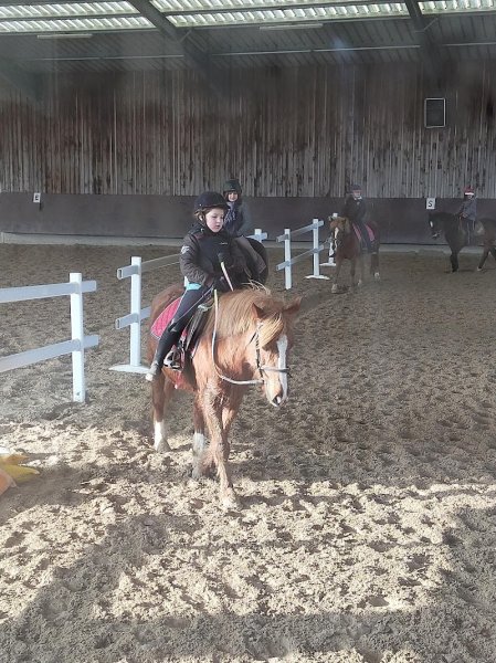 Le Haras d'Oé - photo 2