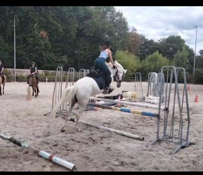 Association Centre Equestre de la Grenadiere