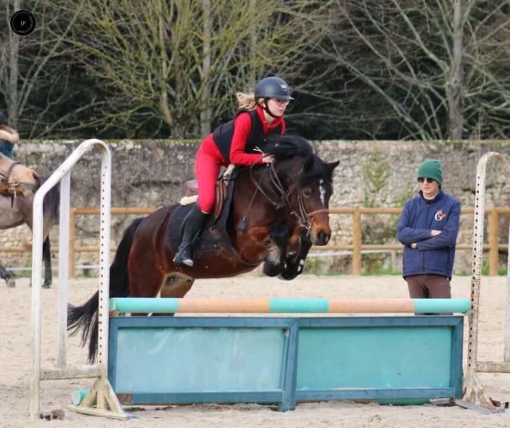 Association Centre Equestre de la Grenadiere - photo 2