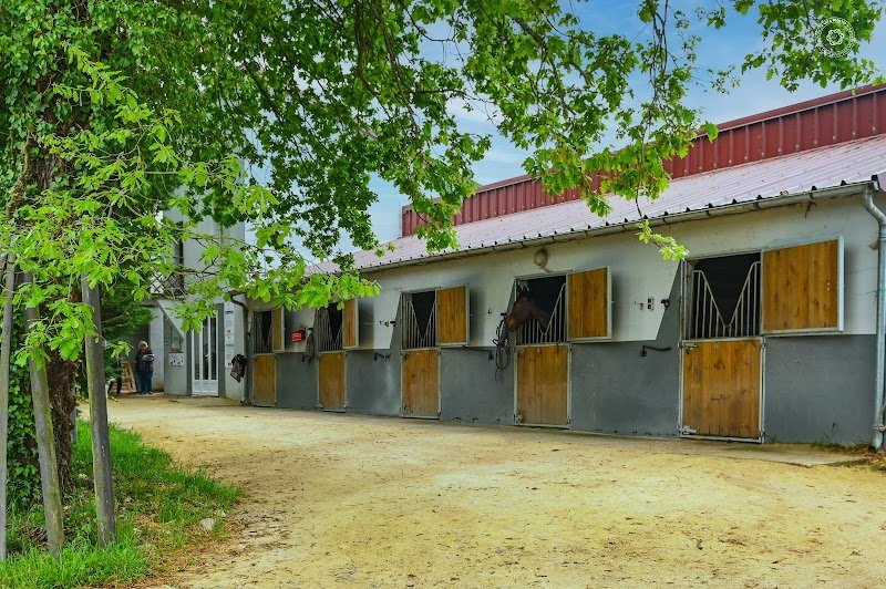Haras Du Soleil - photo 3