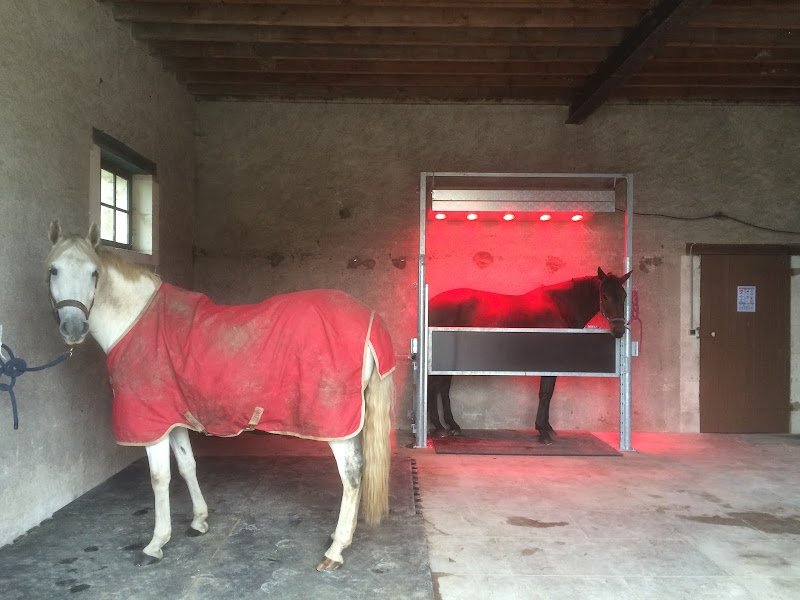 Les Ecuries de la Lambarderie - photo 3