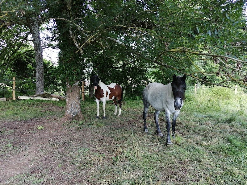 Pension de Fideston - photo 1