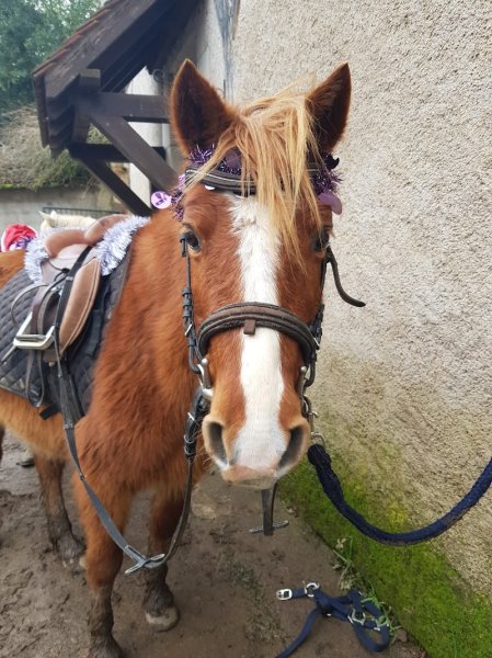 Les écuries de Pray - photo 3