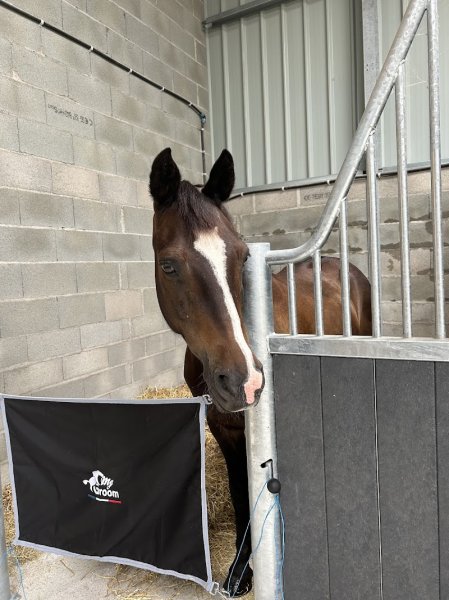 ECURIES DE LA VALLEE PICARD - photo 3