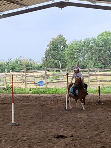 Les Écuries du Vignoble - photo 1