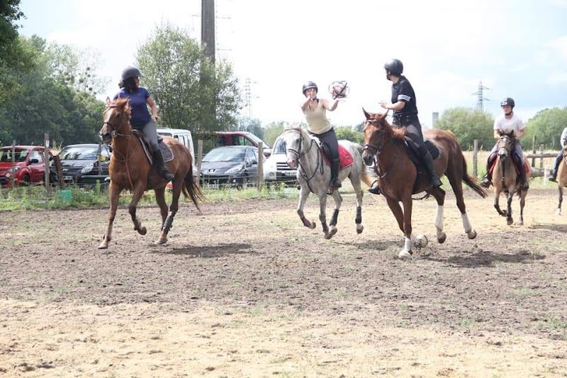 centre équestre / Écuries ROCA - photo 2