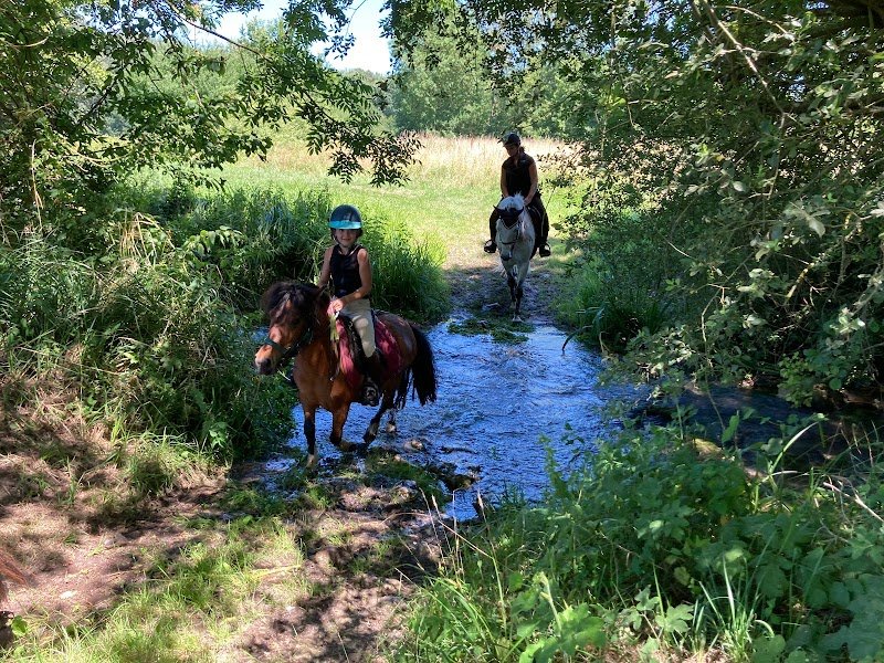 Ecuries de la Paulniere - photo 3