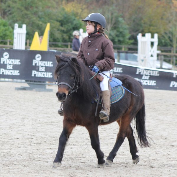 Ecuries des Grands Robineaux - photo 1