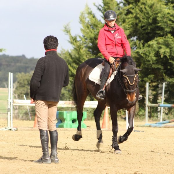 Ecuries des Grands Robineaux - photo 2