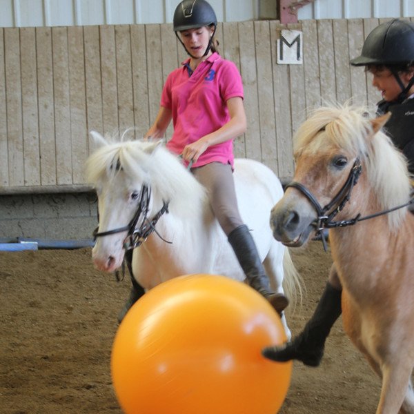 Ecuries des Grands Robineaux - photo 3