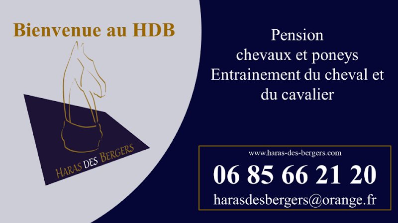 Haras des Bergers - photo 2