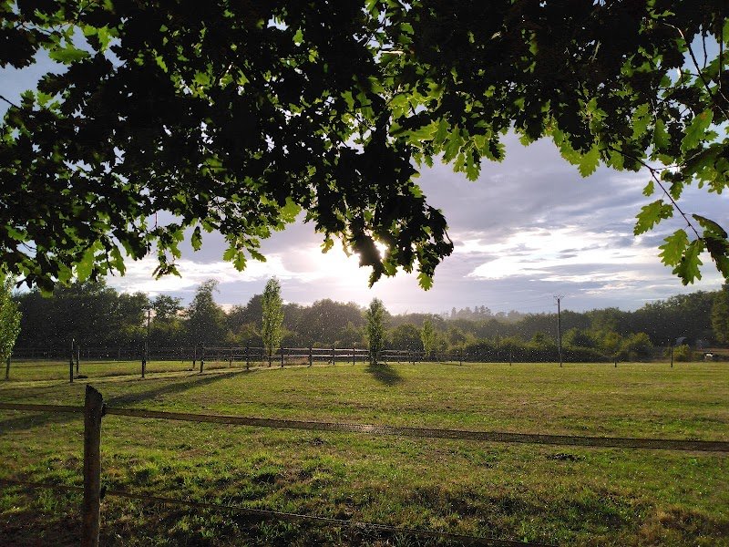 Écuries de la Harlandiere - photo 2