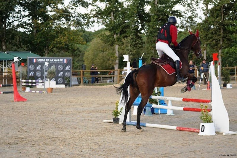 Haras de la Vallée - photo 2