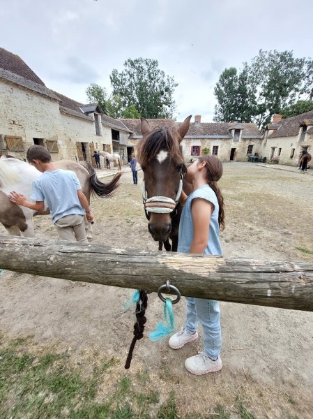 Centre équestre et poney club de Pouzay - photo 1