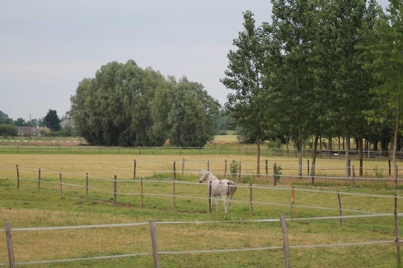 Écurie des Aulnaies - photo 1