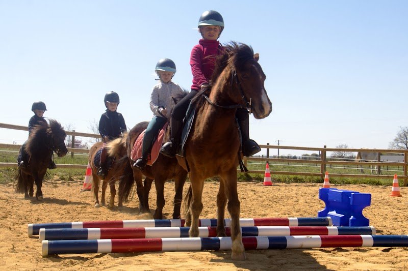 Les Écuries de La Noiraie - photo 3