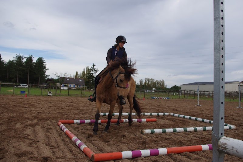 Ecurie du Lathan - photo 3