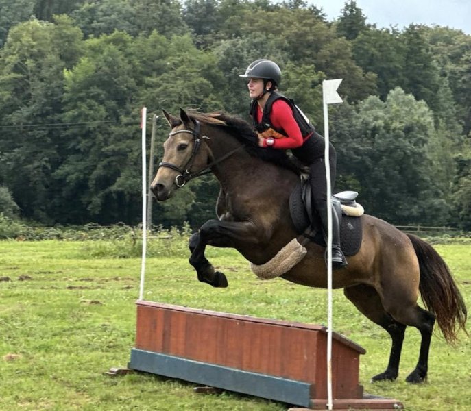 Centre équestre l'Escapade - photo 2