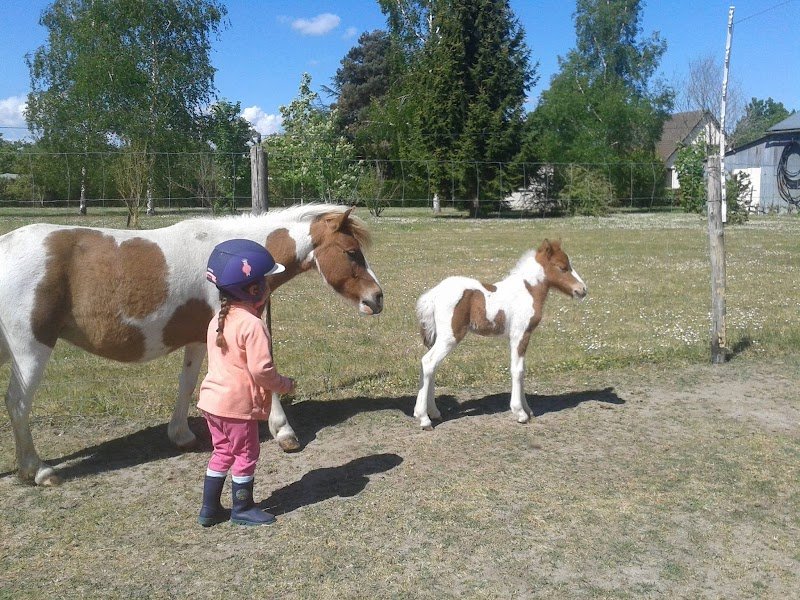 Centre équestre l'Escapade - photo 3