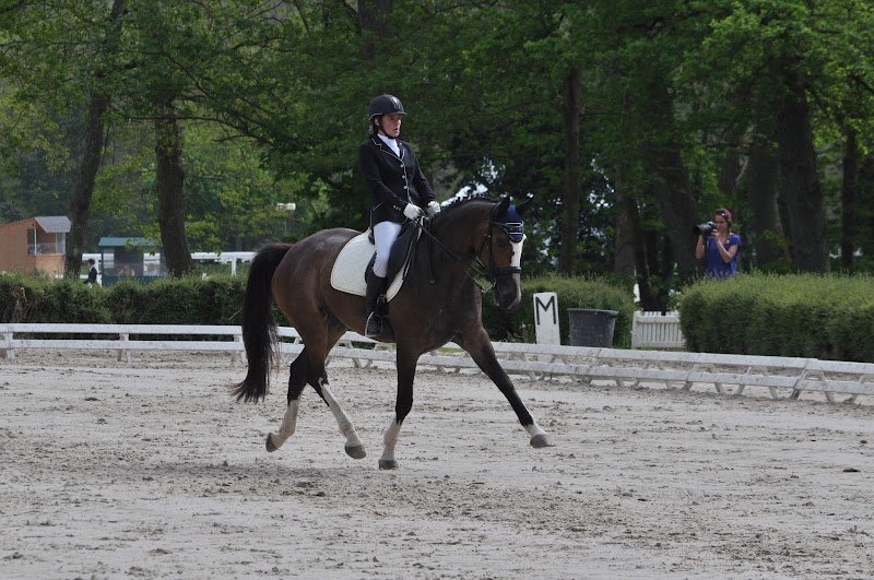 Ecurie de la Madeleine - photo 1