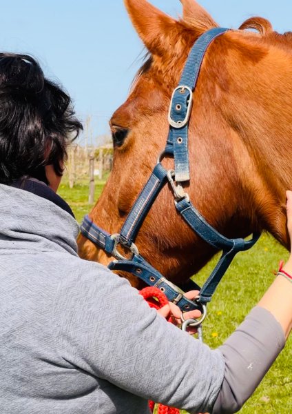 Ecurie Kaballès - photo 1