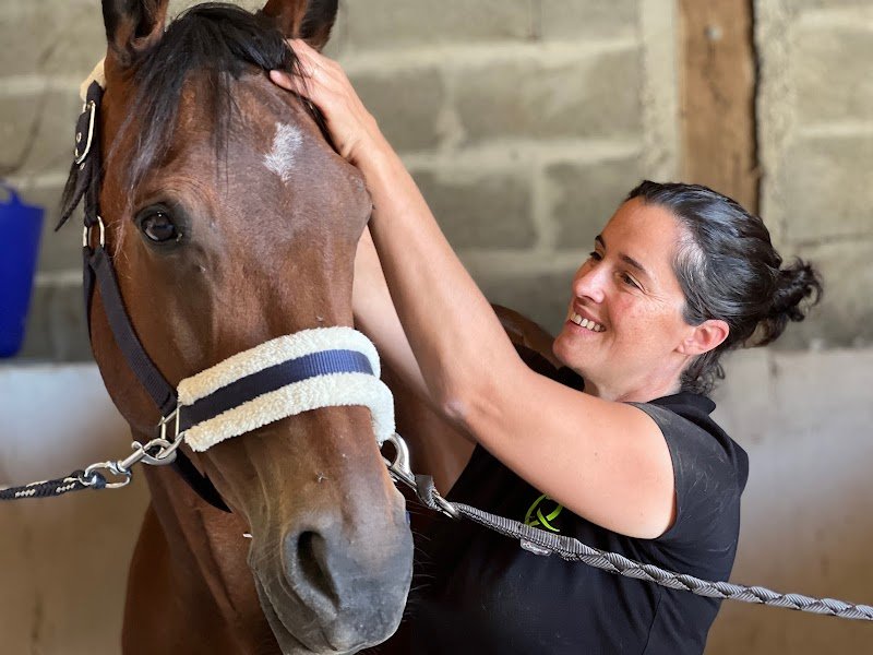 Ecurie Kaballès - photo 2