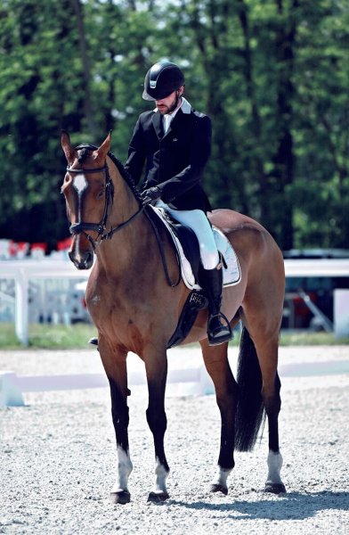 Les Écuries de l’Édycé - photo 2