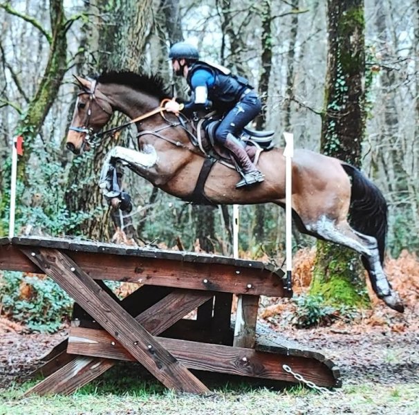 Les Écuries de l’Édycé - photo 3