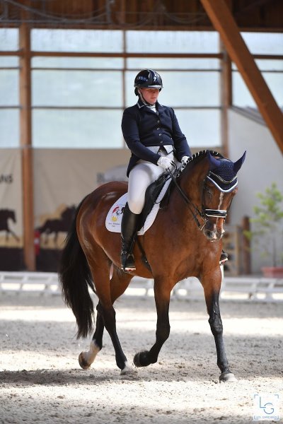 Haras de l'automne - photo 2