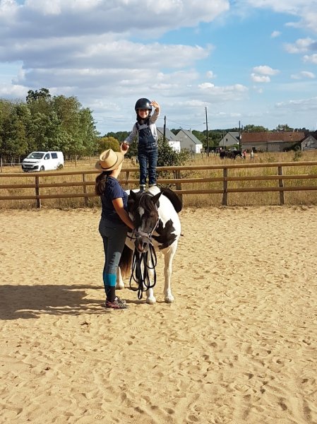 Touraine Cheval - photo 2