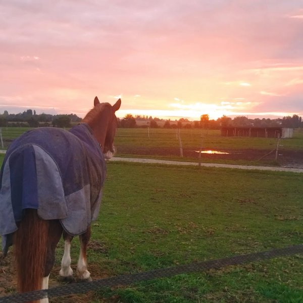 Les écuries des Quatre Vents