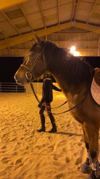 Les écuries des Quatre Vents - photo 2