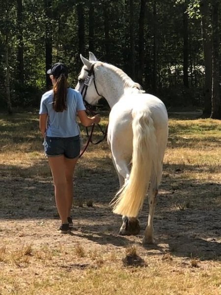 Club Hippique - Ecuries du Plessis